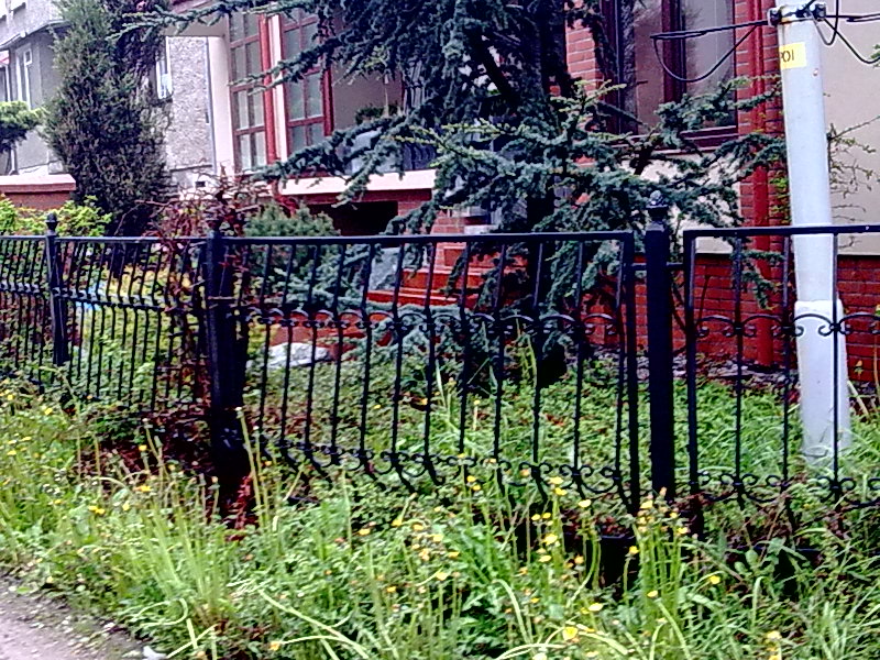Czarny, metalowy płot z ozdobnymi elementami na tle budynku z czerwonej cegły i zieleni, widoczne chwasty i trawa przed ogrodzeniem.