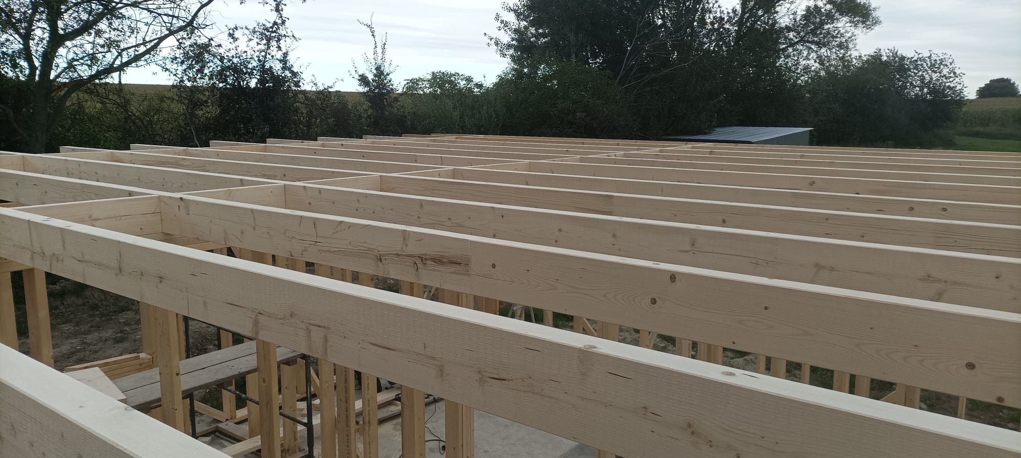 Drewniana konstrukcja szkieletowa w trakcie budowy, widok z góry na belki stropowe, z zielonym tłem drzew i pola w oddali. Jasne drewno, regularny układ belek.