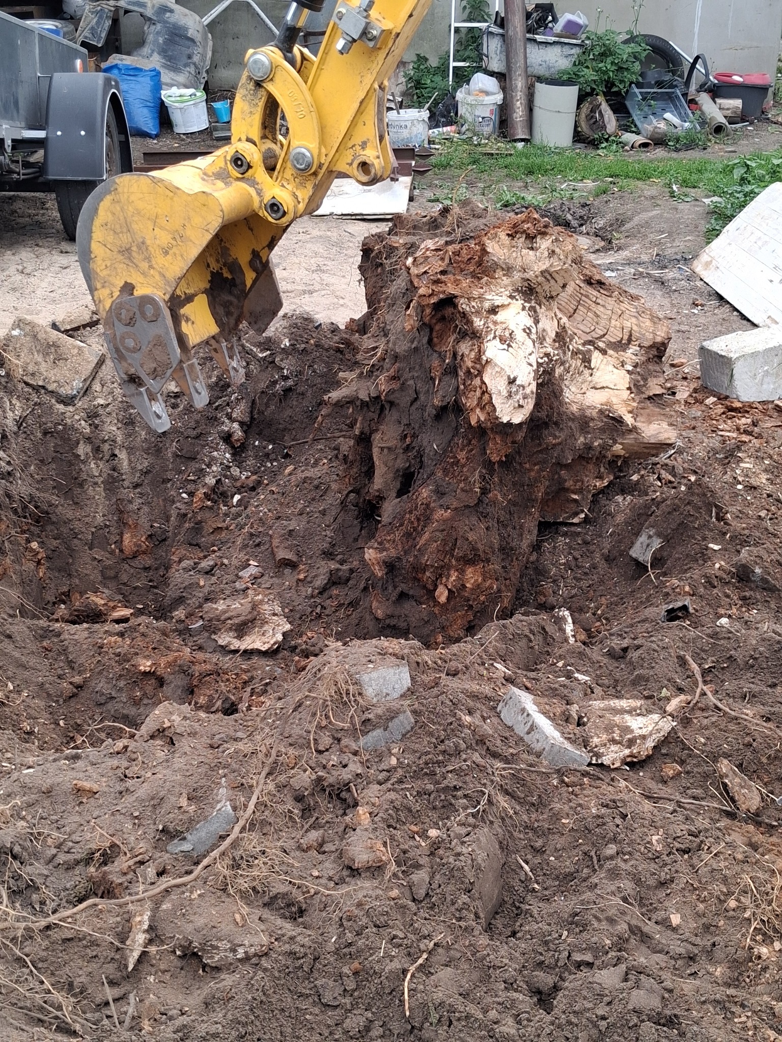 Żółta koparka wydobywa z ziemi duży, spróchniały korzeń drzewa. Wokół wykopu leżą fragmenty betonu i gruzu. W tle widoczne są różne przedmioty i roślinność.