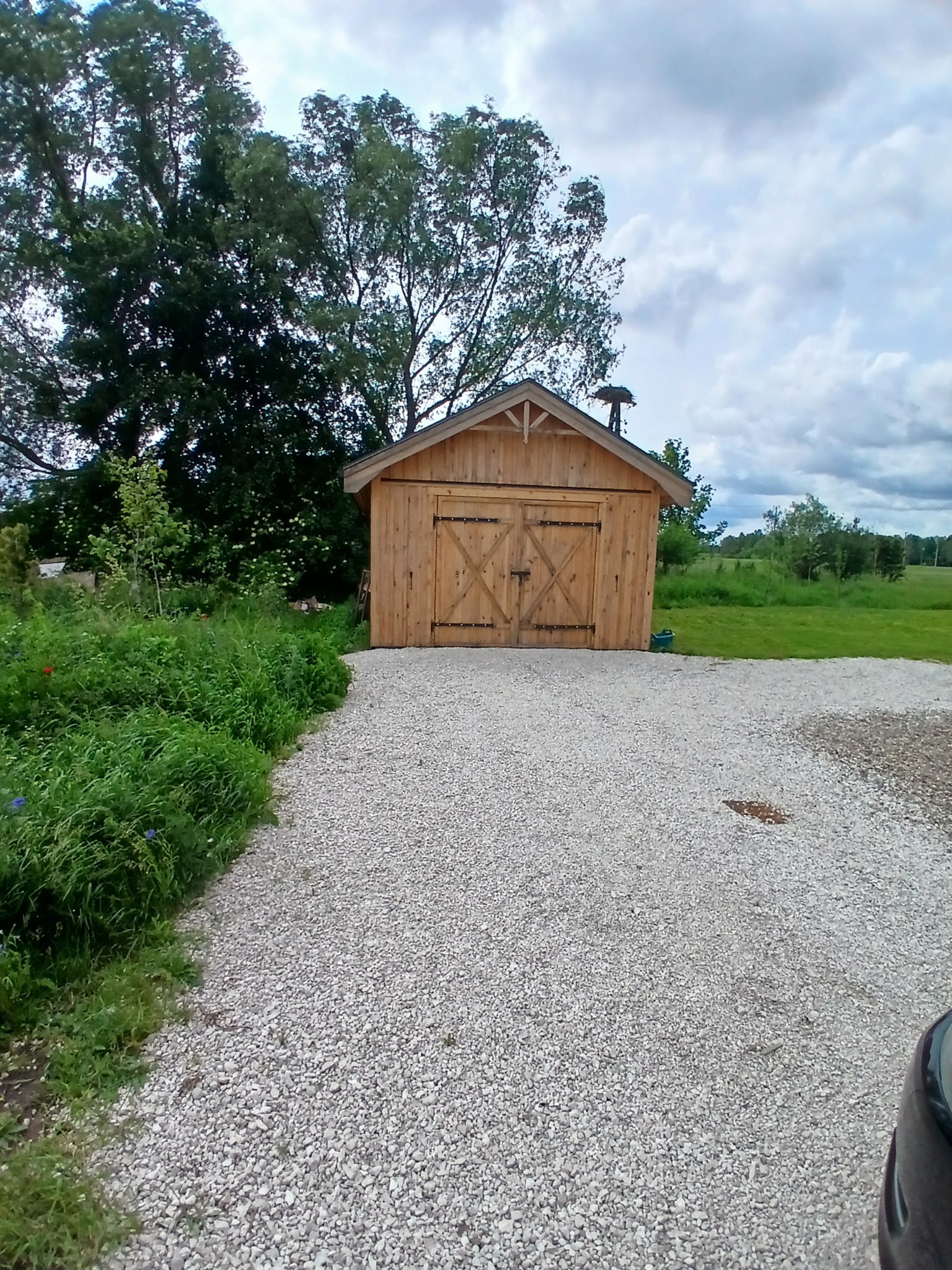 Drewniana altana z dwuskrzydłowymi drzwiami na żwirowym podłożu, otoczona zielenią i drzewami, z widocznym gniazdem na dachu. Ujęcie z dołu.