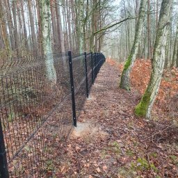 USŁUGI SPAWALNICZE KRYSTIAN PAWŁOWSKI - Czarna siatka ogrodzeniowa panelowa, zamontowana w lesie, biegnąca wzdłuż ścieżki pokrytej liśćmi. Słupki ogrodzenia osadzone w betonie.