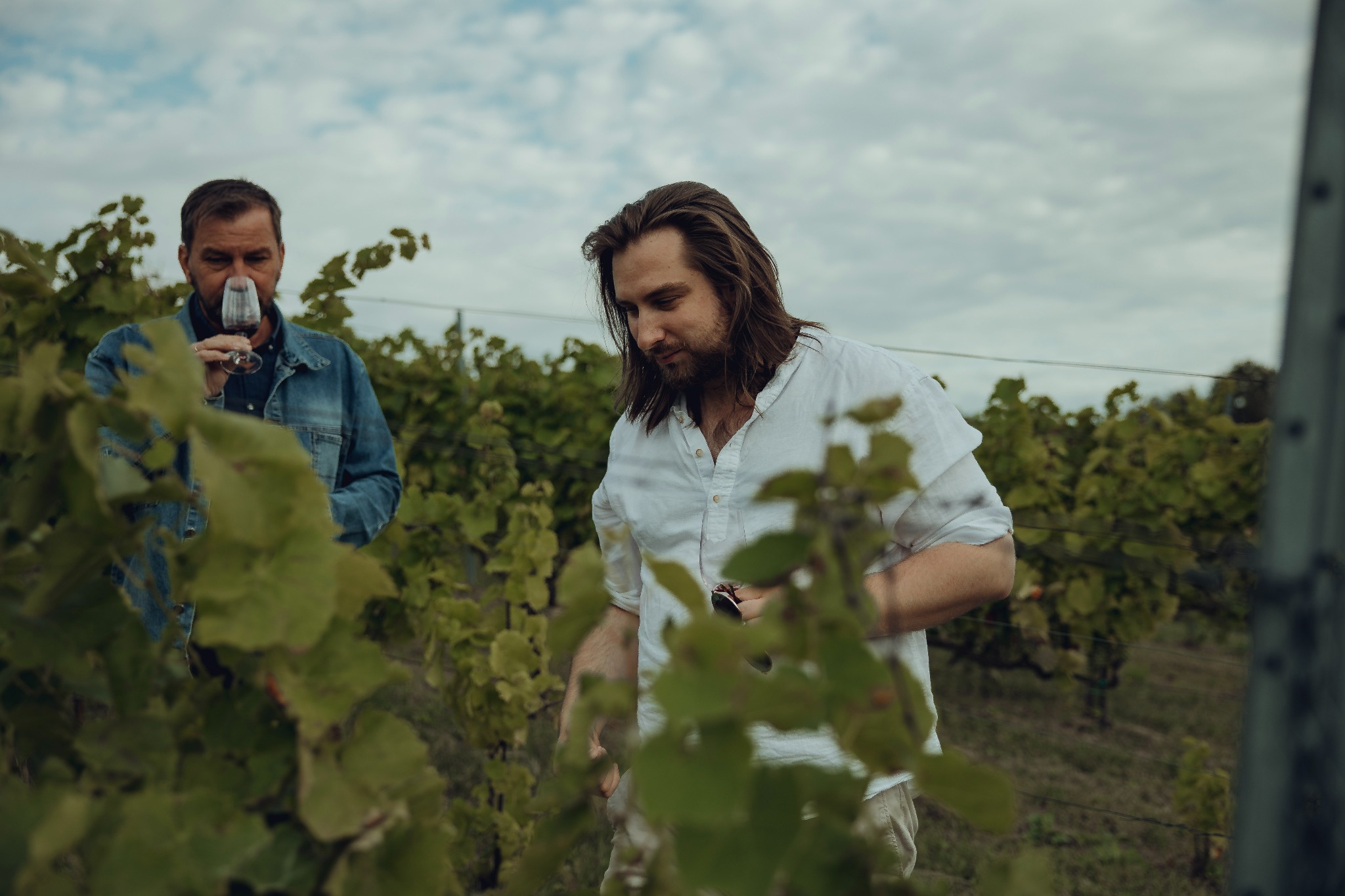 Degustacja w winnicy: Mężczyzna w białej koszuli ocenia wino, drugi degustuje z kieliszka. Krzewy winorośli w tle, pochmurne niebo.