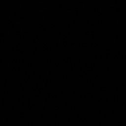 Programista Żyrardów 1