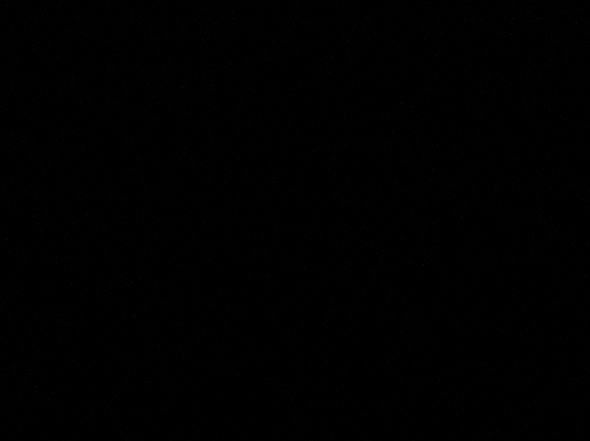 Ciemny, jednolity obraz bez widocznych szczegółów. Całkowita czerń wypełnia kadr.