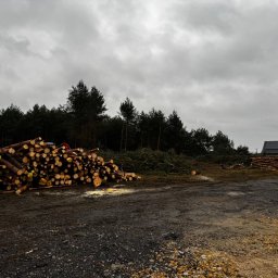 Wycinka drzew Nakło Śląskie 1