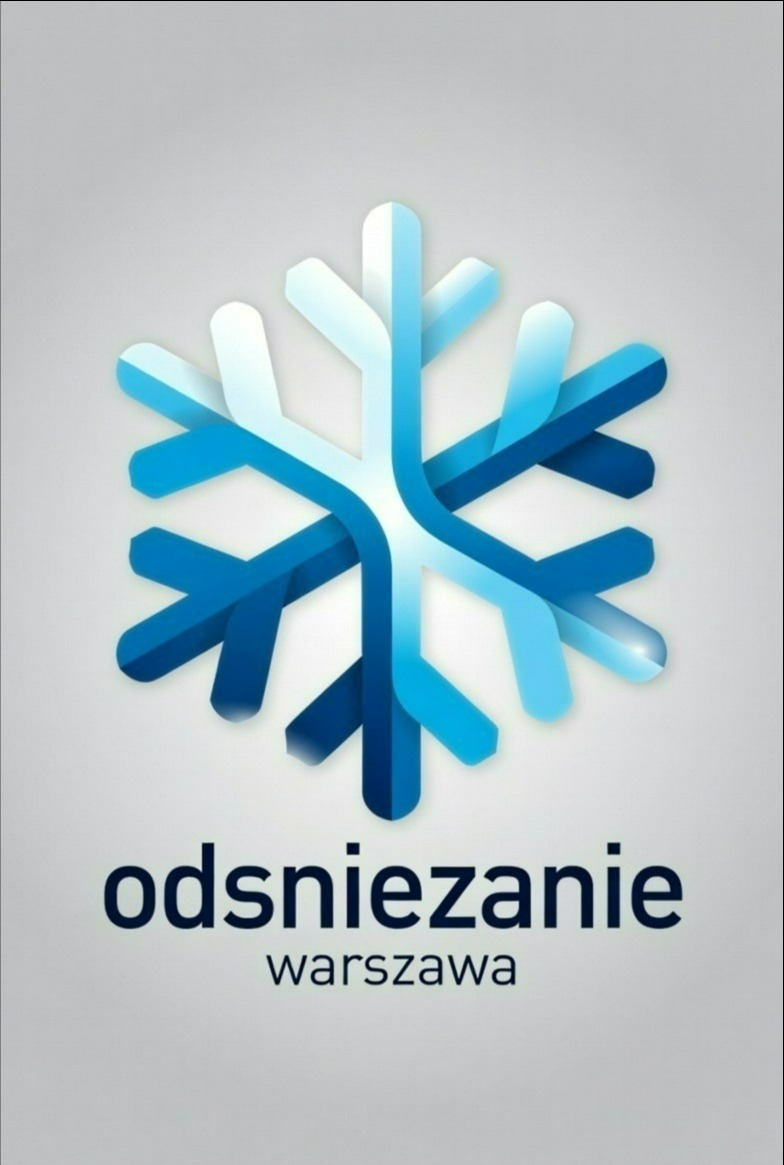 Profesjonalne Odśnieżanie Warszawa i okolice.