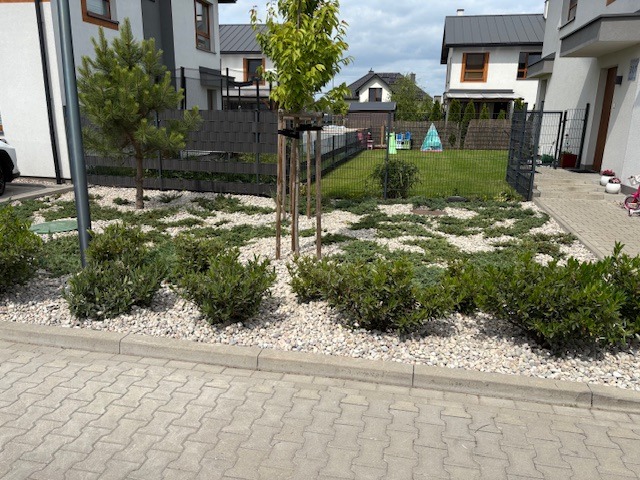 Ogród z nasadzeniami: krzewy, drzewa i kamienie ozdobne na tle nowoczesnego domu. Widoczny trawnik za ogrodzeniem. Całość utrzymana w jasnej kolorystyce.