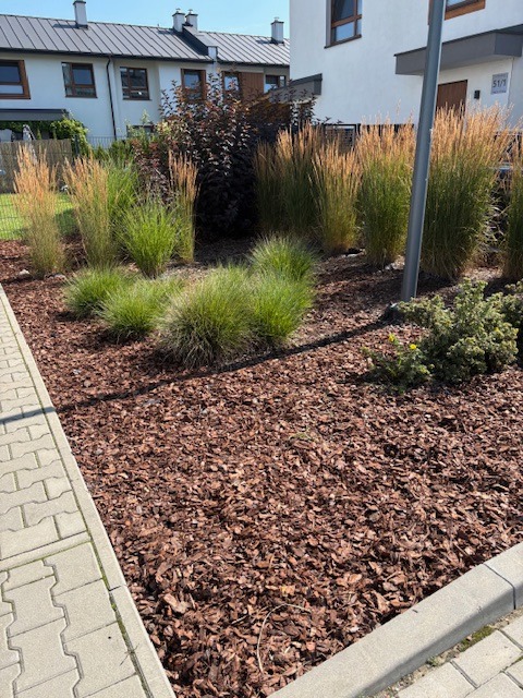 Rabata z ozdobnymi trawami i krzewami, wyściółkowana korą, na tle nowoczesnego budynku mieszkalnego w słoneczny dzień. Widok z poziomu chodnika.