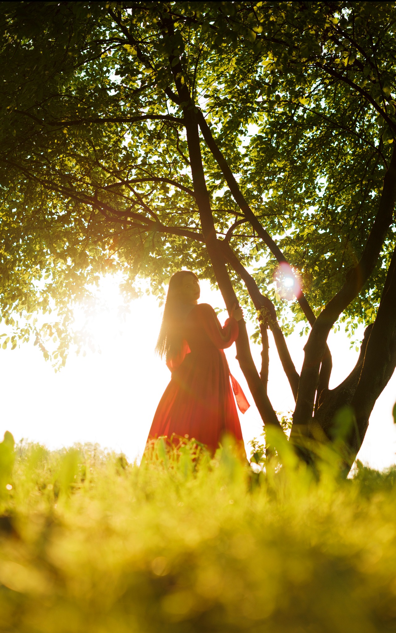 Kobieta w czerwonej sukni, stojąca pod drzewem w promieniach zachodzącego słońca. Ujęcie z dołu, podkreślające sylwetkę i naturalne otoczenie.