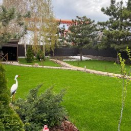 Malowanie mieszkań Gliwice 1