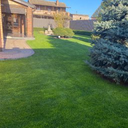 Malowanie mieszkań Gliwice 4