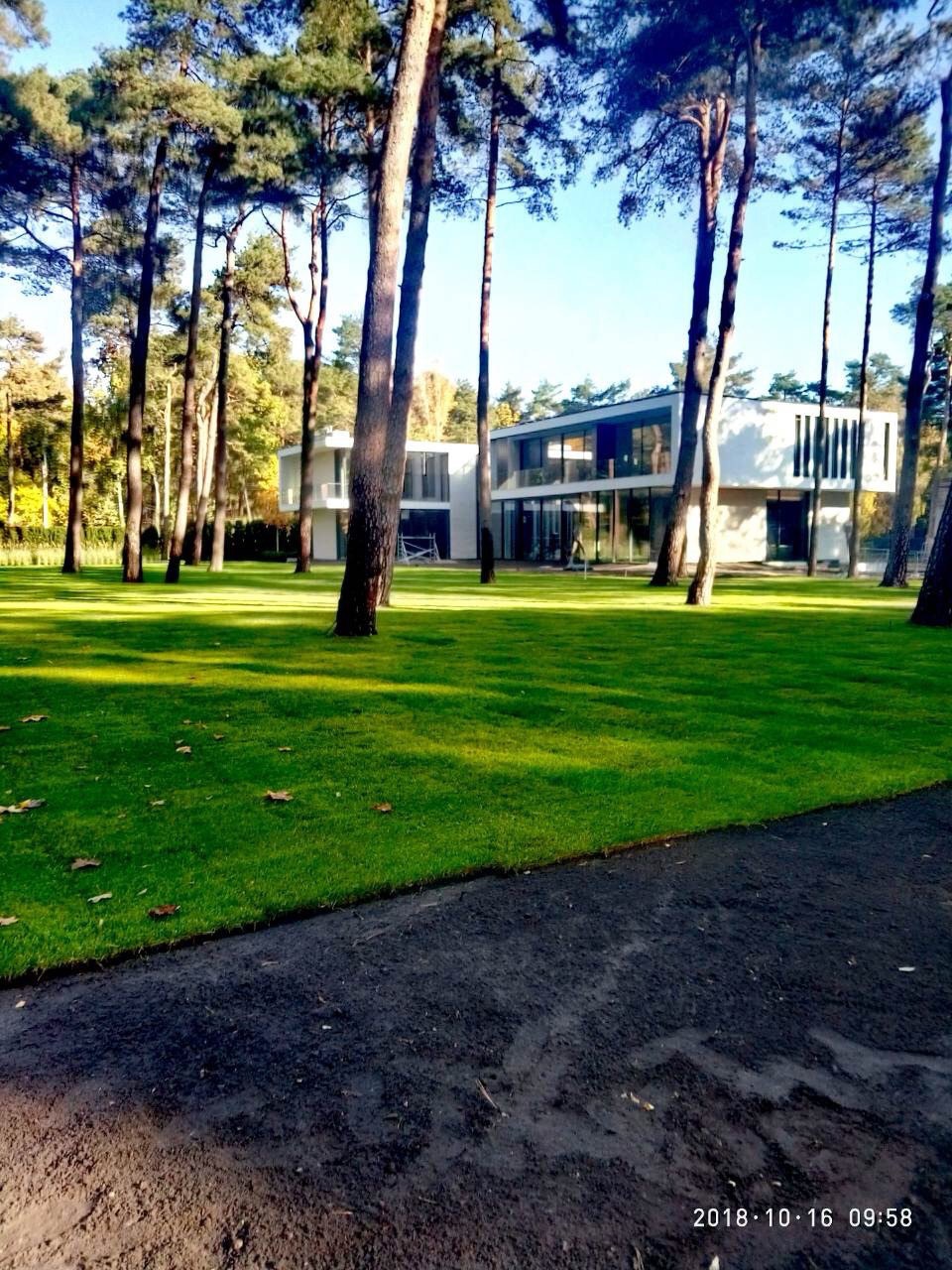 Nowoczesny dom z dużym ogrodem i równo przystrzyżonym trawnikiem, otoczony wysokimi drzewami iglastymi w słoneczny dzień. Widoczny fragment utwardzonej drogi.