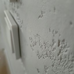 Aliaksei Kirpichnikau 