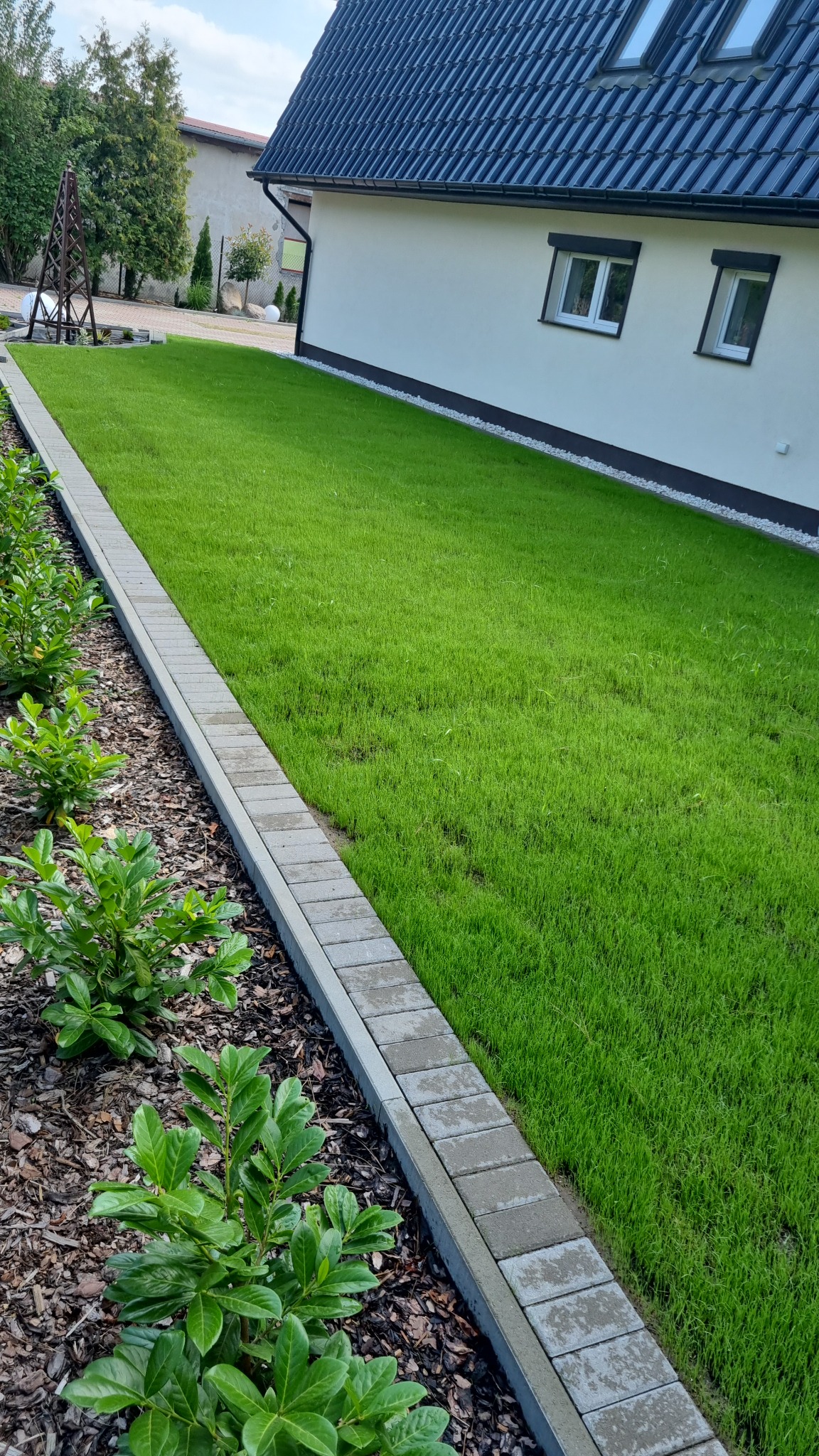 Świeżo założony trawnik z rolki, obrzeża z kostki brukowej, rabata z krzewami i korą, dom z ciemną dachówką w tle. Widok z góry.