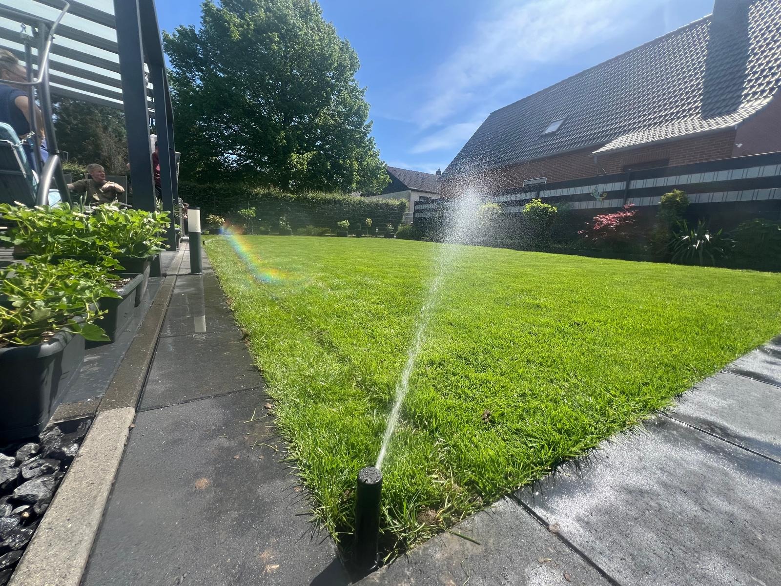 Zraszacz nawadnia soczyście zielony trawnik w ogrodzie przydomowym, z widocznym fragmentem domu i drzewami w tle, w słoneczny dzień. Tęczowa poświata.