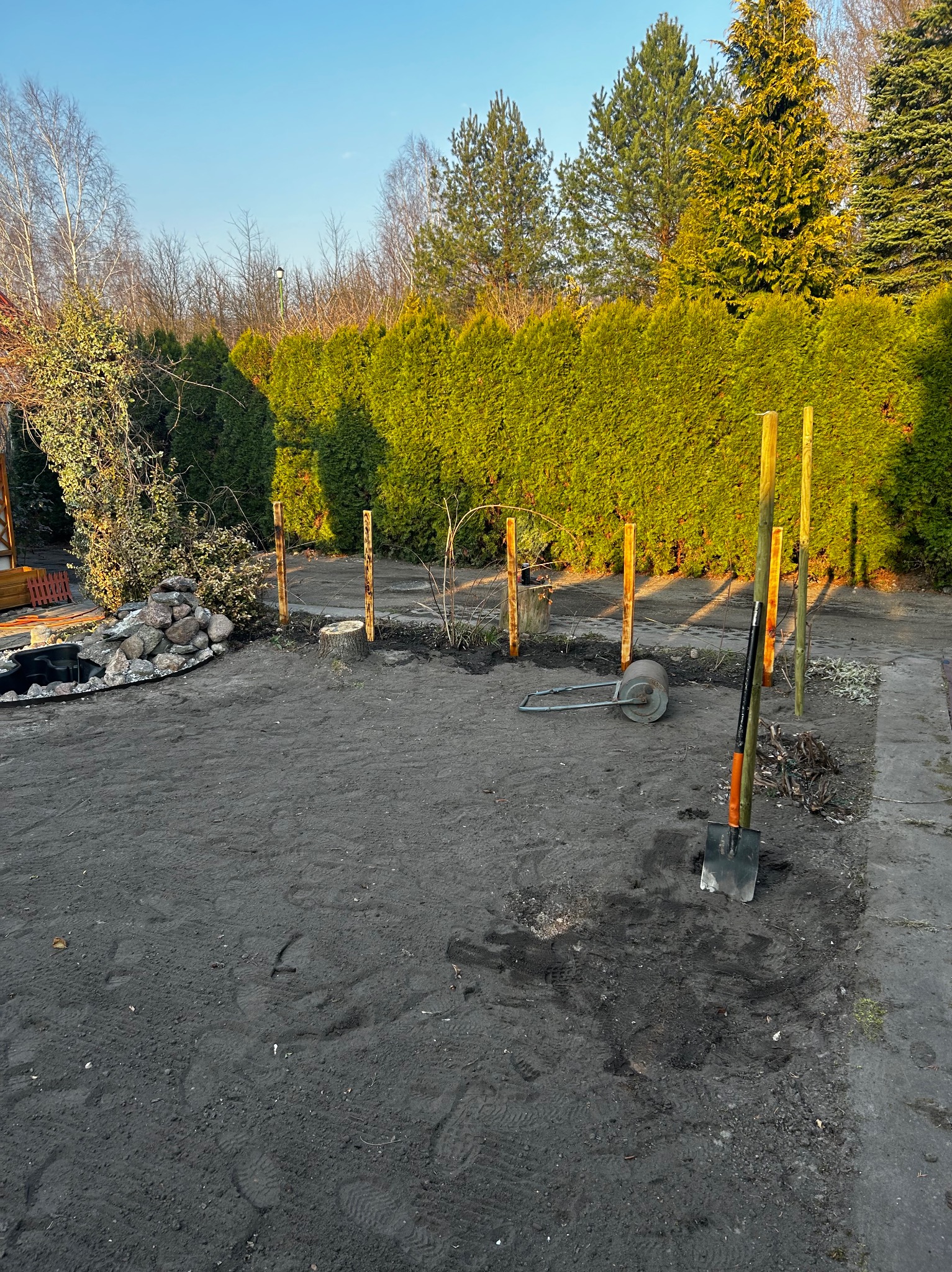 Przygotowany teren pod trawnik z rolki: wyrównana ziemia, wbite słupki, narzędzia ogrodnicze i wał leżą na ziemi. W tle żywopłot z tui i drzewa.