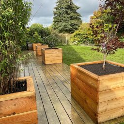 Marcin Bieniek Ogrody-Bieniek - Rośliny i podłoża Stargard