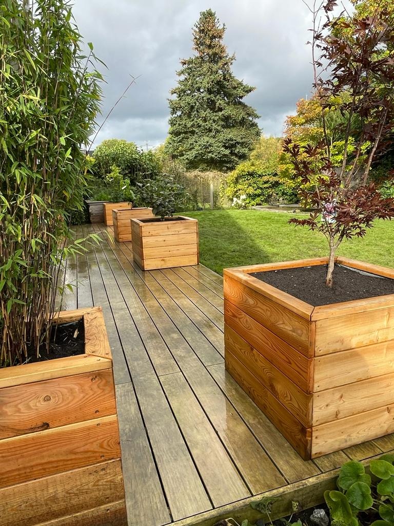 Drewniany taras z donicami z drzewami i bambusem, w tle trawnik i drzewa. Donice z jasnego drewna, taras z ciemniejszego. Pochmurne niebo.