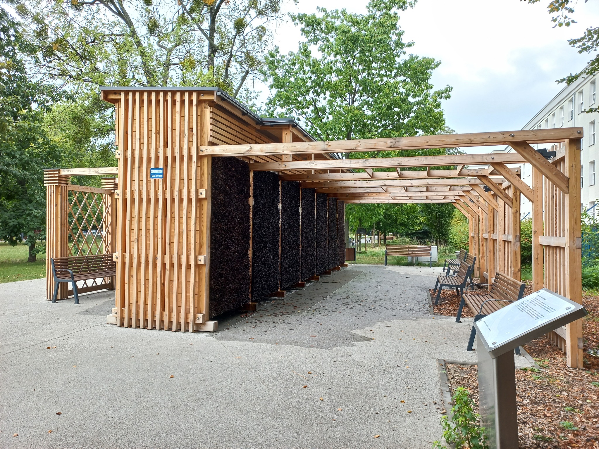 Drewniana pergola solankowa z ławkami w parku, widok z perspektywy przechodnia. Konstrukcja z jasnego drewna, tło zieleni parkowej i fragment budynku.