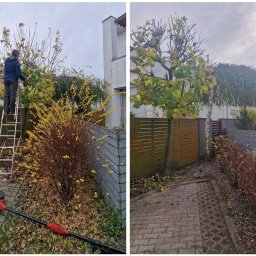 PRZYCIĘCIE GAŁĘZI ORAZ KRZEWÓW 