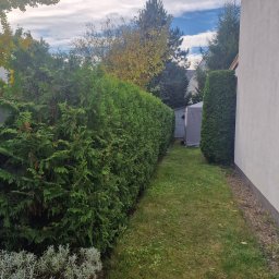 FORMOWANIE TUI, OPIEKA NAD OGRODEM.