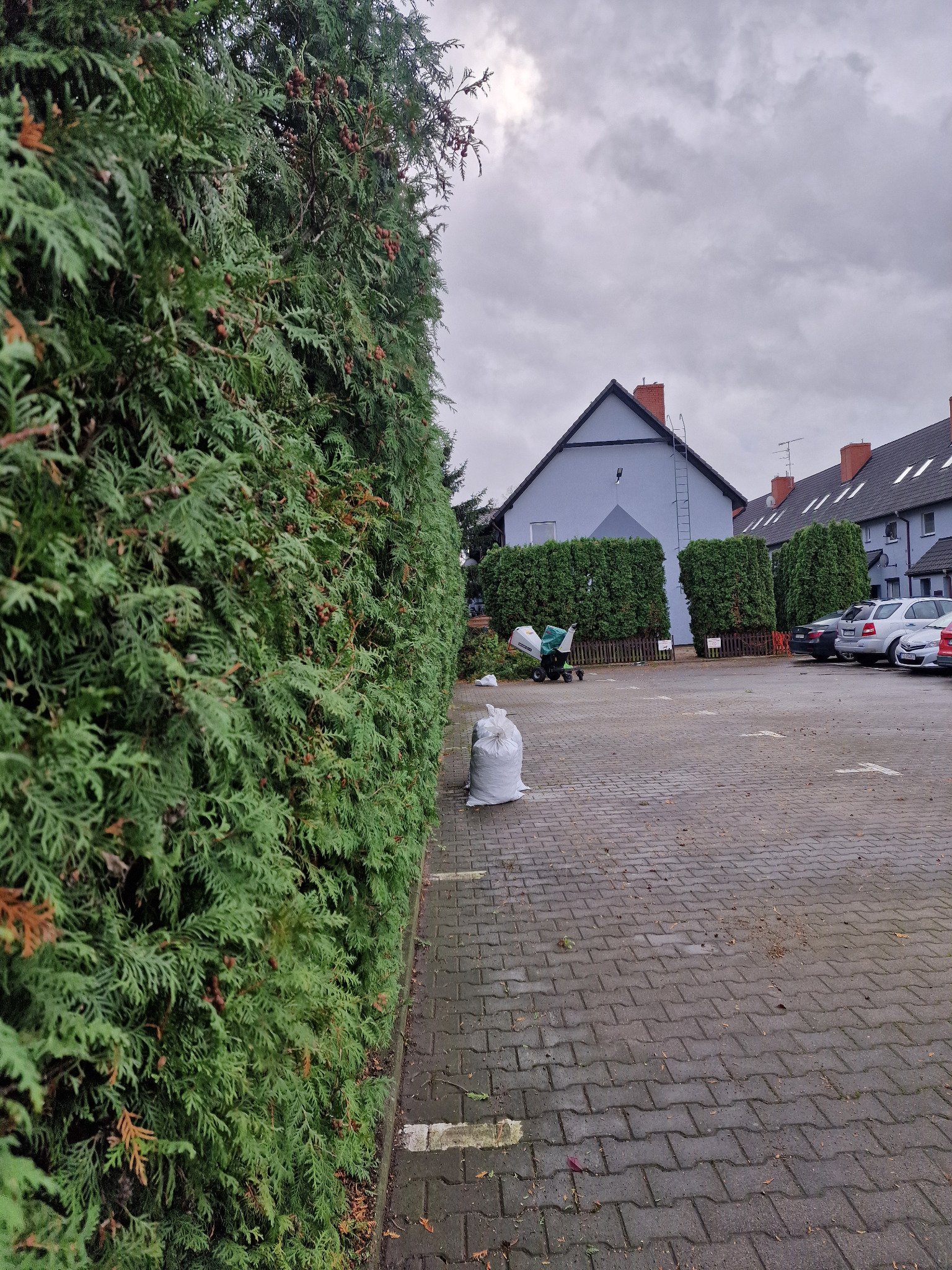 Formowanie Tui, Prace Porządkowe