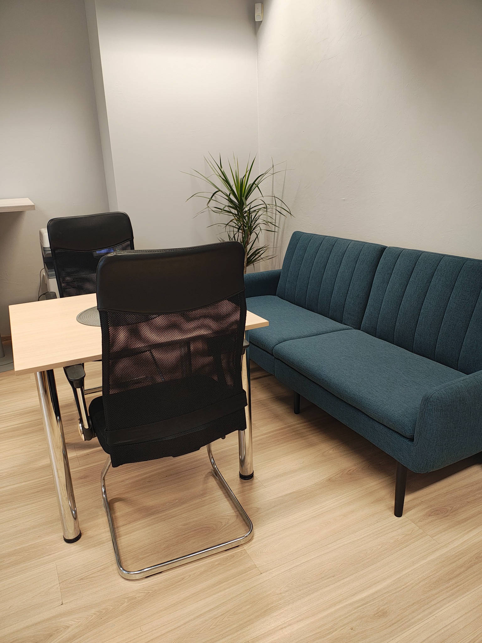 Jasne wnętrze biura: stół z krzesłami, niebieska sofa i roślina doniczkowa. Minimalistyczny design, neutralna kolorystyka, nowoczesne meble.