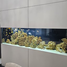 Nowoczesny salon z wbudowanym akwarium z kolorowymi rybami i kamieniami, otoczony białymi szafkami. Bukiet róż na stoliku kawowym i zielona ściana w tle.