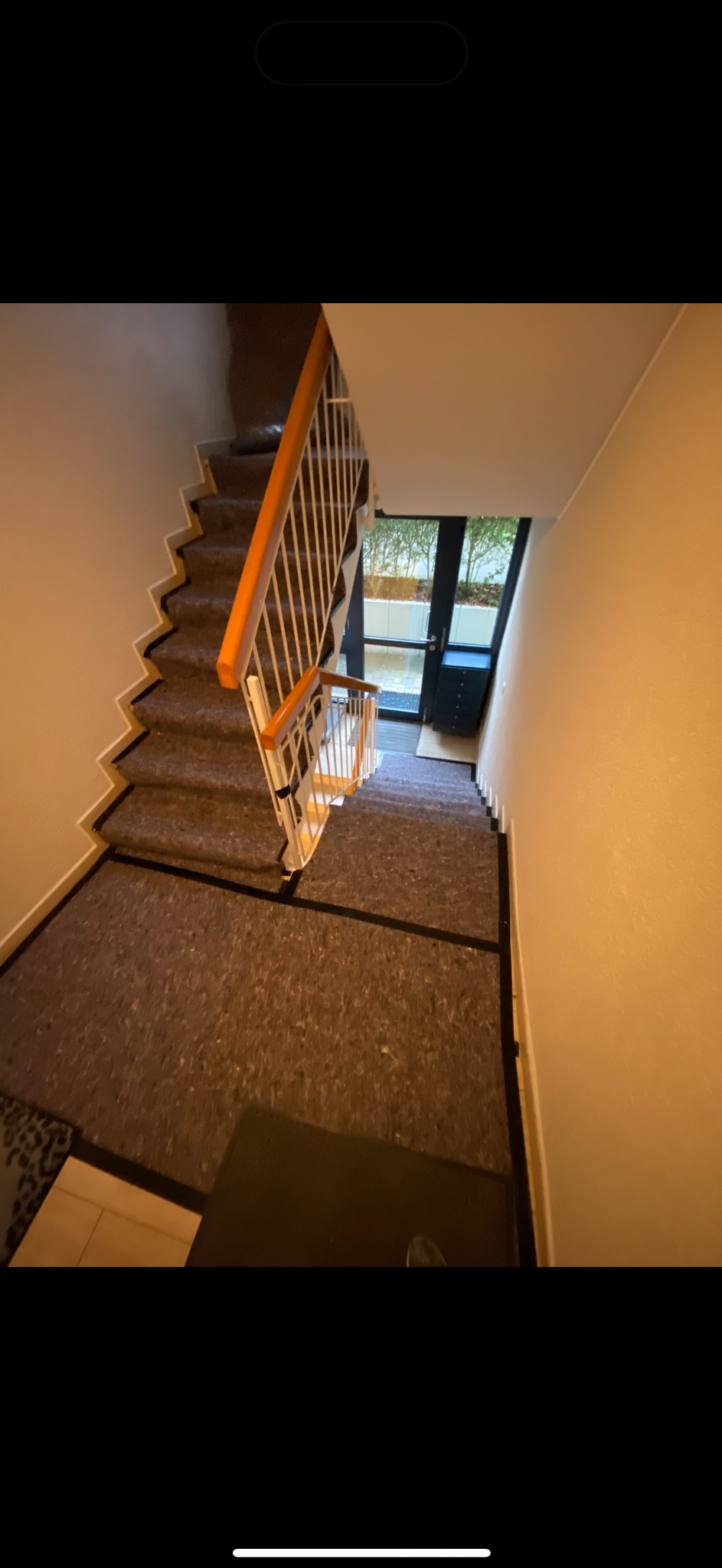 Klatka schodowa z brązową wykładziną i białą balustradą z drewnianymi elementami, widziana z góry. Na dole drzwi wejściowe z widokiem na zieleń.