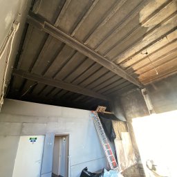 Przycinanie drzew Gdańsk 1