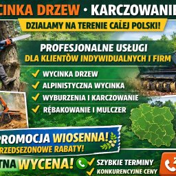 ARBEX - Plakat reklamowy usług wycinki drzew i karczowania na terenie całej Polski. Oferta obejmuje wycinkę alpinistyczną, wyburzenia, rębkowanie i mulczer. Promocja wiosenna.