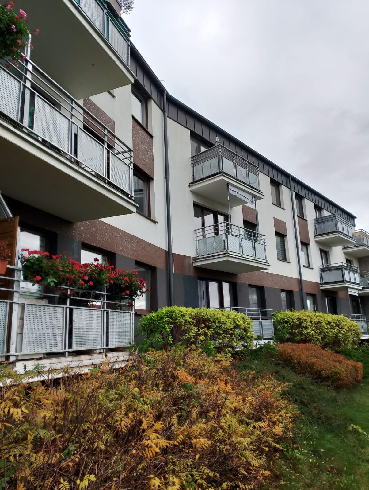Elewacja budynku wielorodzinnego z balkonami o metalowych barierkach i kwiatami w donicach. Widok z dołu, pochmurne niebo.