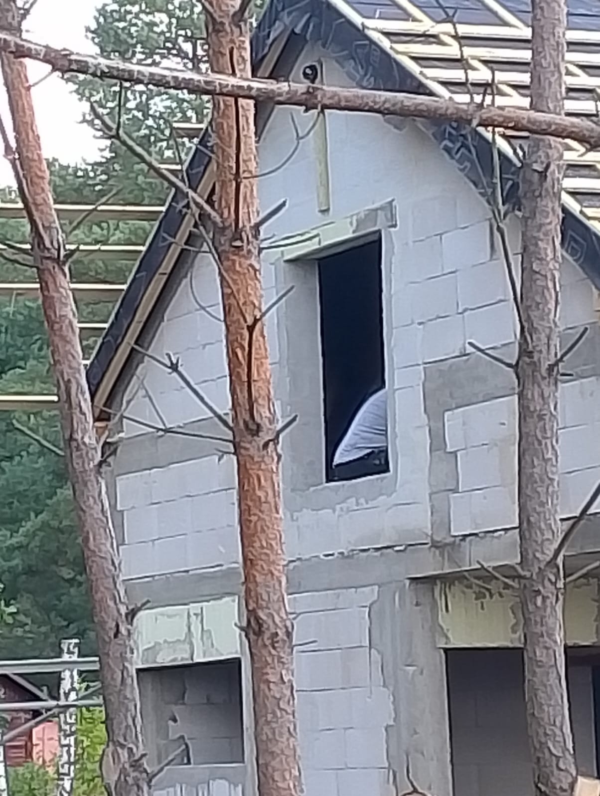 Surowy stan domu z białego bloczka, widoczny przez gałęzie drzew. W oknie fragment sylwetki osoby. Dach w trakcie budowy, pokryty papą. Widok z zewnątrz.