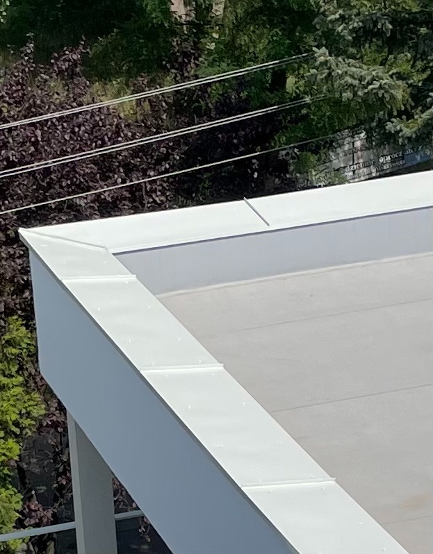 Białe obróbki blacharskie na krawędzi dachu płaskiego, widoczne z góry na tle zieleni. Detal wykończenia dachu z blachy.