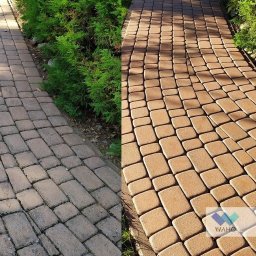 WAHOsoftwash Miękkie Mycie Elewacji - Mycie Kostki Brukowej - Zapraszam Do Galerii Realizacji - Kostka brukowa przed i po czyszczeniu, z widoczną różnicą w kolorze i czystości. Po lewej stronie kostka jest brudna, po prawej czysta. Obok rosną krzewy.