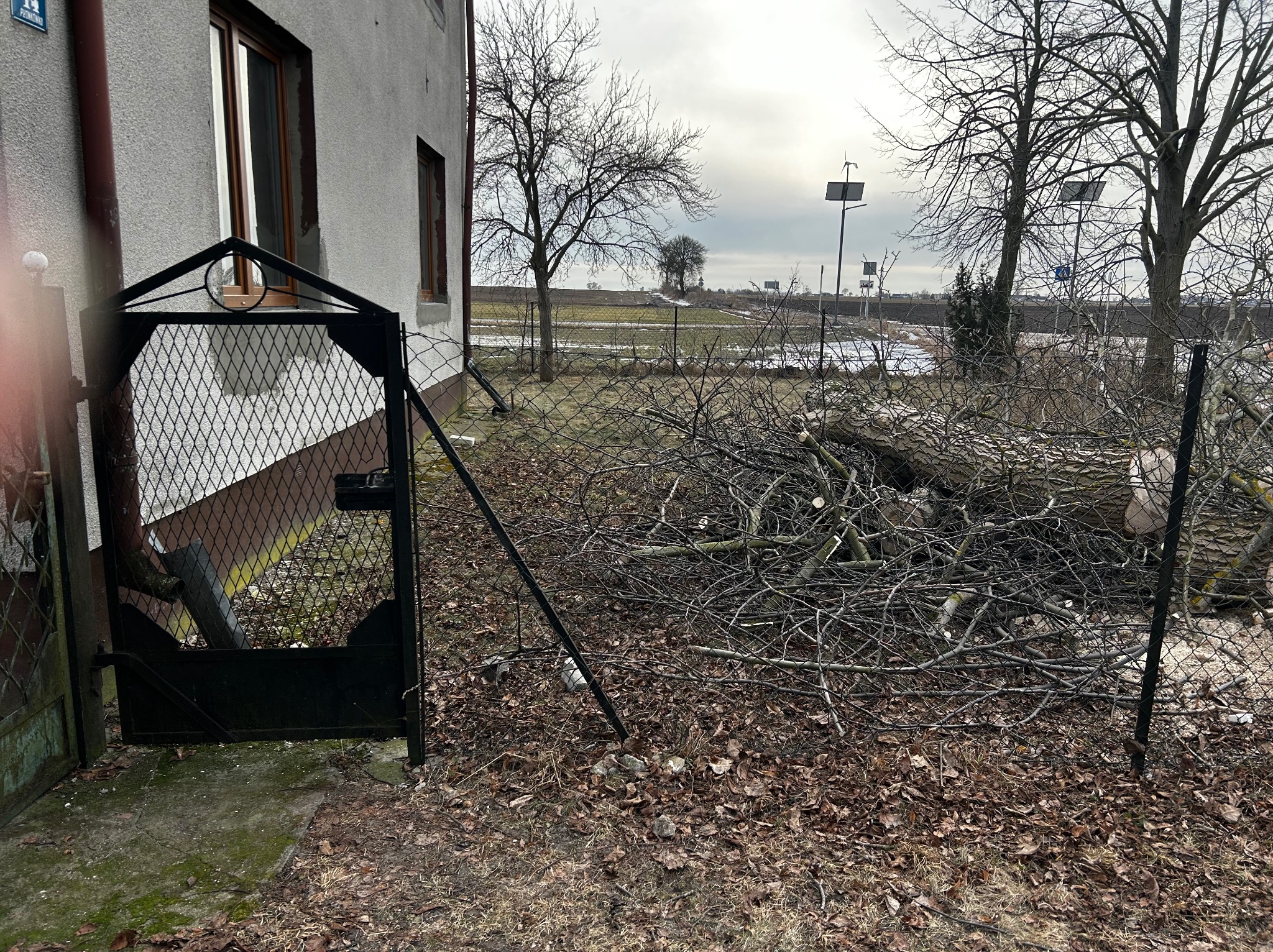 Sterta gałęzi za siatką ogrodzeniową, widok zza otwartej furtki. W tle budynek z oknami i krajobraz z drzewami i słupami oświetleniowymi.