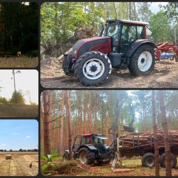 LasRol Jaworscy Mateusz Jaworski - Usługi Ogrodnicze Kępa Wielka