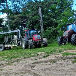 Wycinka drzew Kępa Wielka 1