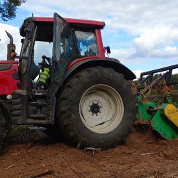 LasRol Jaworscy Mateusz Jaworski - Czerwony traktor z mulczerem leśnym w akcji, rozdrabniający gałęzie na zrębie. Widoczne drzewa w tle i pył unoszący się podczas pracy.