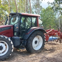 LasRol Jaworscy Mateusz Jaworski - Czerwony traktor Valtra z glebogryzarką na polu po wycince drzew, widoczne pnie i korzenie. Praca w toku, przygotowanie terenu pod uprawę.