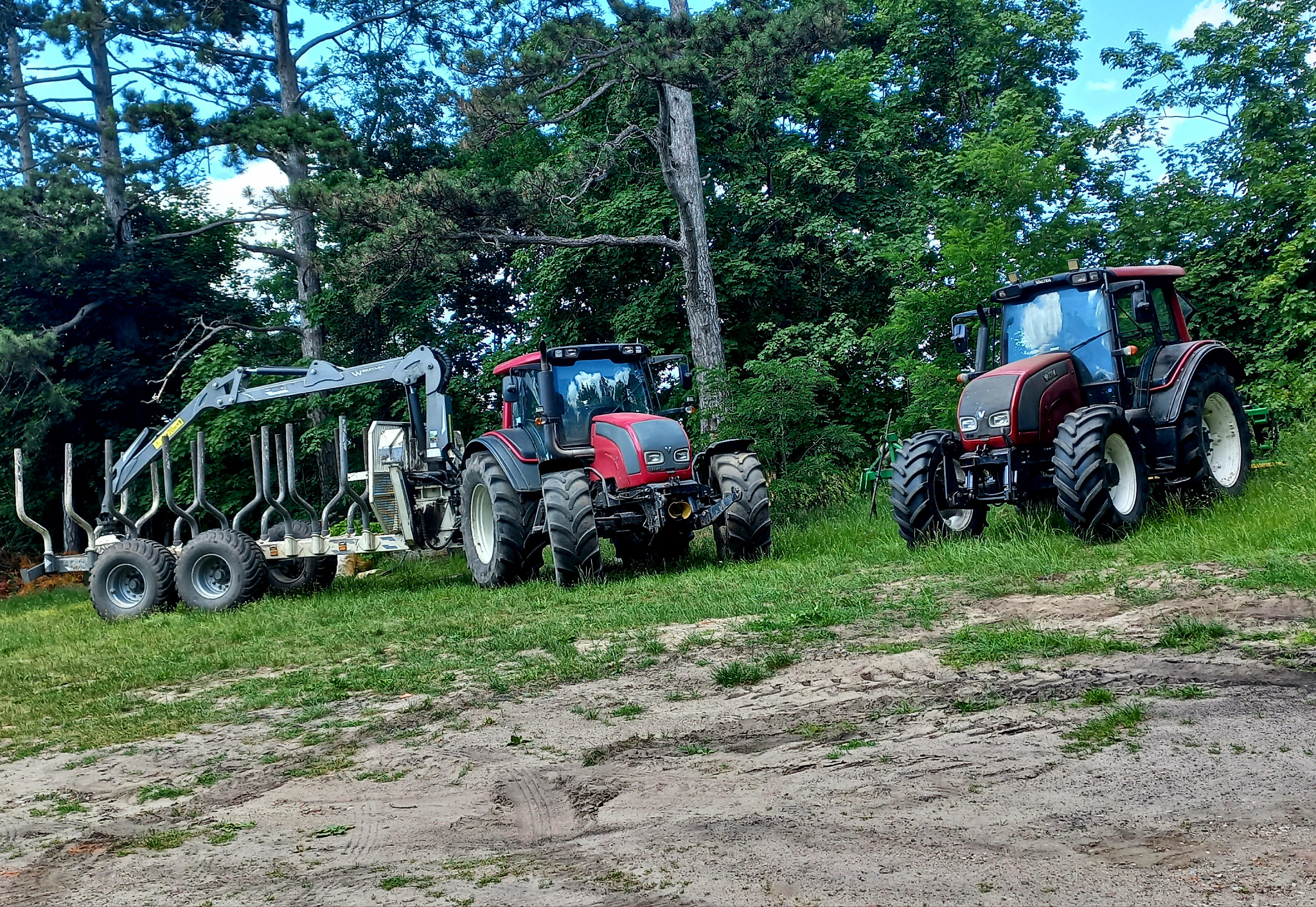 Dwa traktory Valtra z przyczepą leśną w Kępie Wielkiej, gotowe do prac związanych z pielęgnacją drzew. Sprzęt na nierównym terenie, otoczony zielenią.
