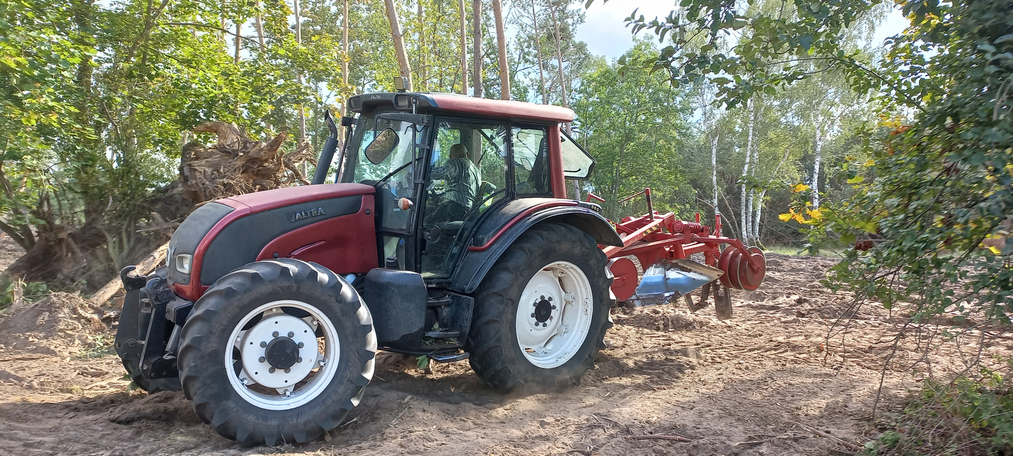 Czerwony traktor Valtra z glebogryzarką na polu po wycince drzew, widoczne pnie i korzenie. Praca w toku, przygotowanie terenu pod uprawę.