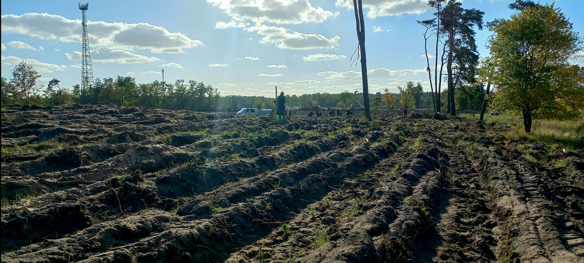 Zespół pracowników w trakcie sadzenia drzewek na przygotowanym polu. W tle widoczny samochód dostawczy i wieża telekomunikacyjna.