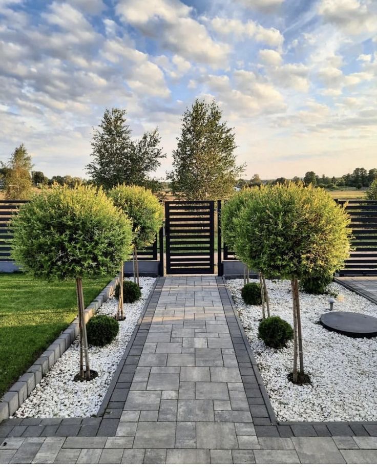 Symetryczna ścieżka z szarej kostki brukowej, obramowana białym żwirem i niskimi krzewami, prowadząca do czarnej bramy w nowoczesnym ogrodzeniu. Okrągłe drzewka.