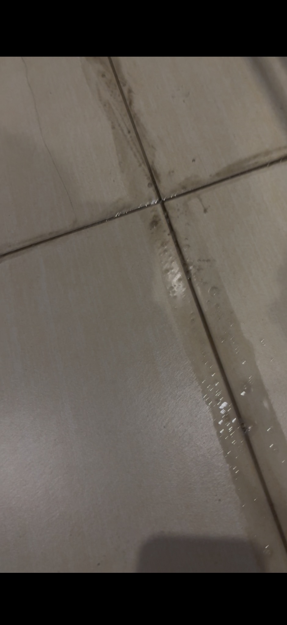 Mokra, jasna podłoga z płytek ceramicznych z ciemnymi fugami, częściowo umyta. Widoczne ślady wody i zabrudzeń wzdłuż fug.