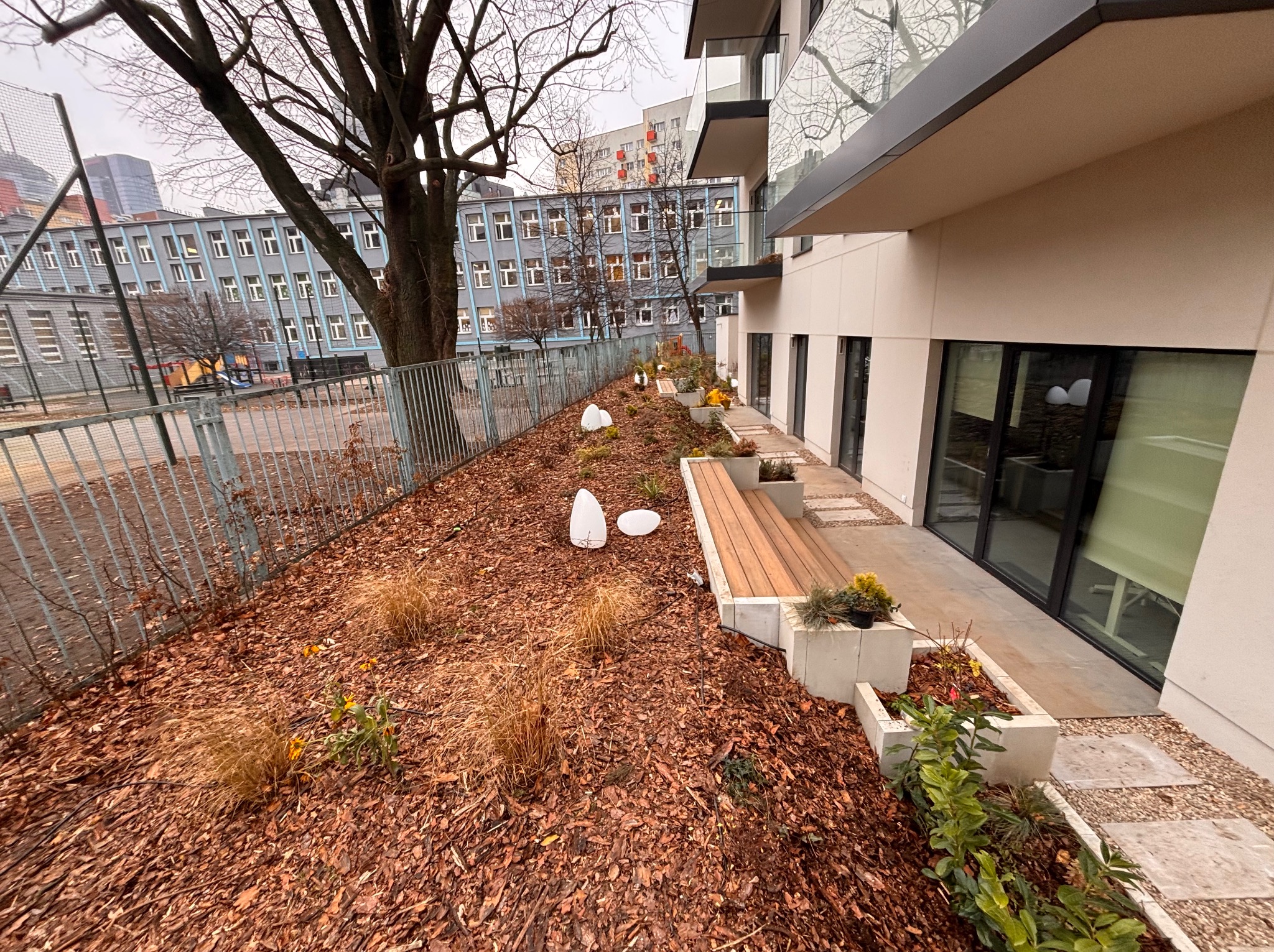 Nowoczesny ogród przy budynku z drewnianą ławką, korą, trawami ozdobnymi i białymi lampami. W tle budynki mieszkalne i drzewo bez liści.