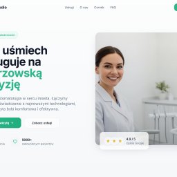 Tworzenie stron internetowych Kamieniec Ząbkowicki 2