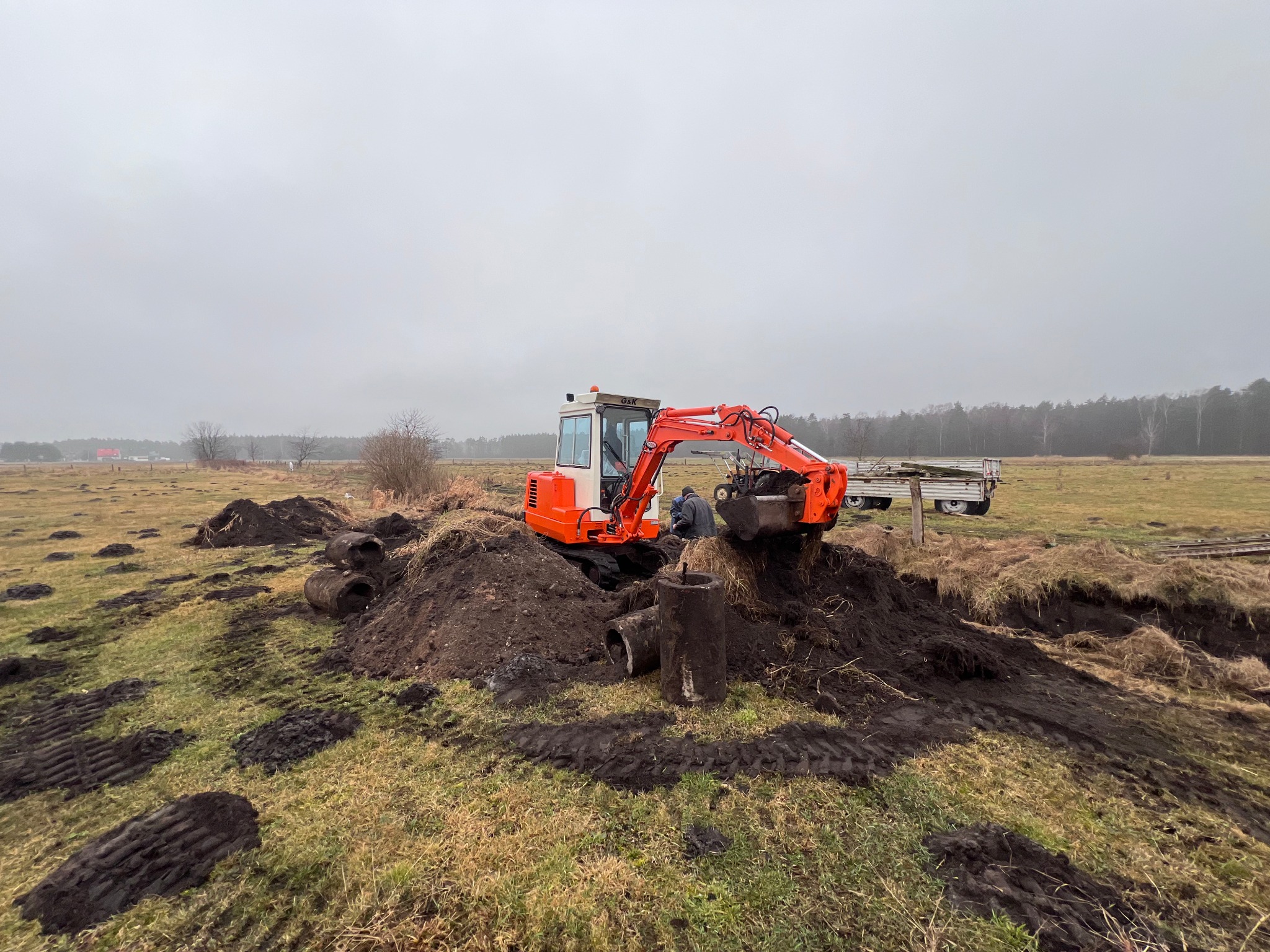 Pomarańczowa mini koparka na polu, wykop pod rury kanalizacyjne, widoczne ślady opon i wykopana ziemia. W tle drzewa i pochmurne niebo.