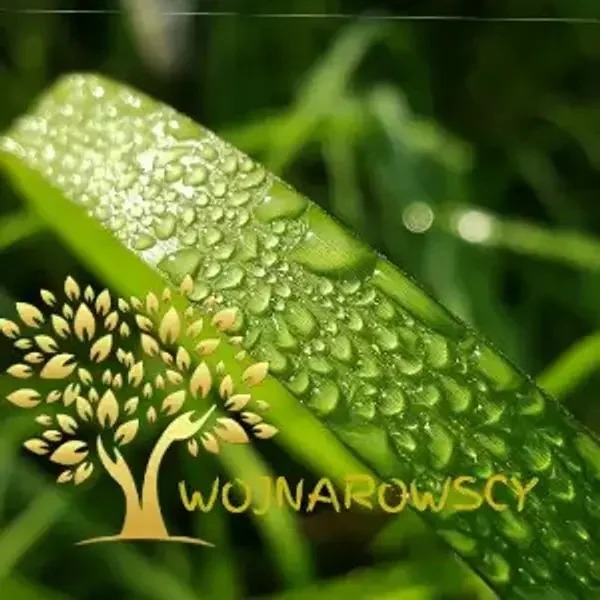 Krople rosy na źdźble trawy w zbliżeniu, z delikatnym logotypem firmy ogrodniczej w lewym dolnym rogu. Ostrość na kroplach, tło rozmyte.