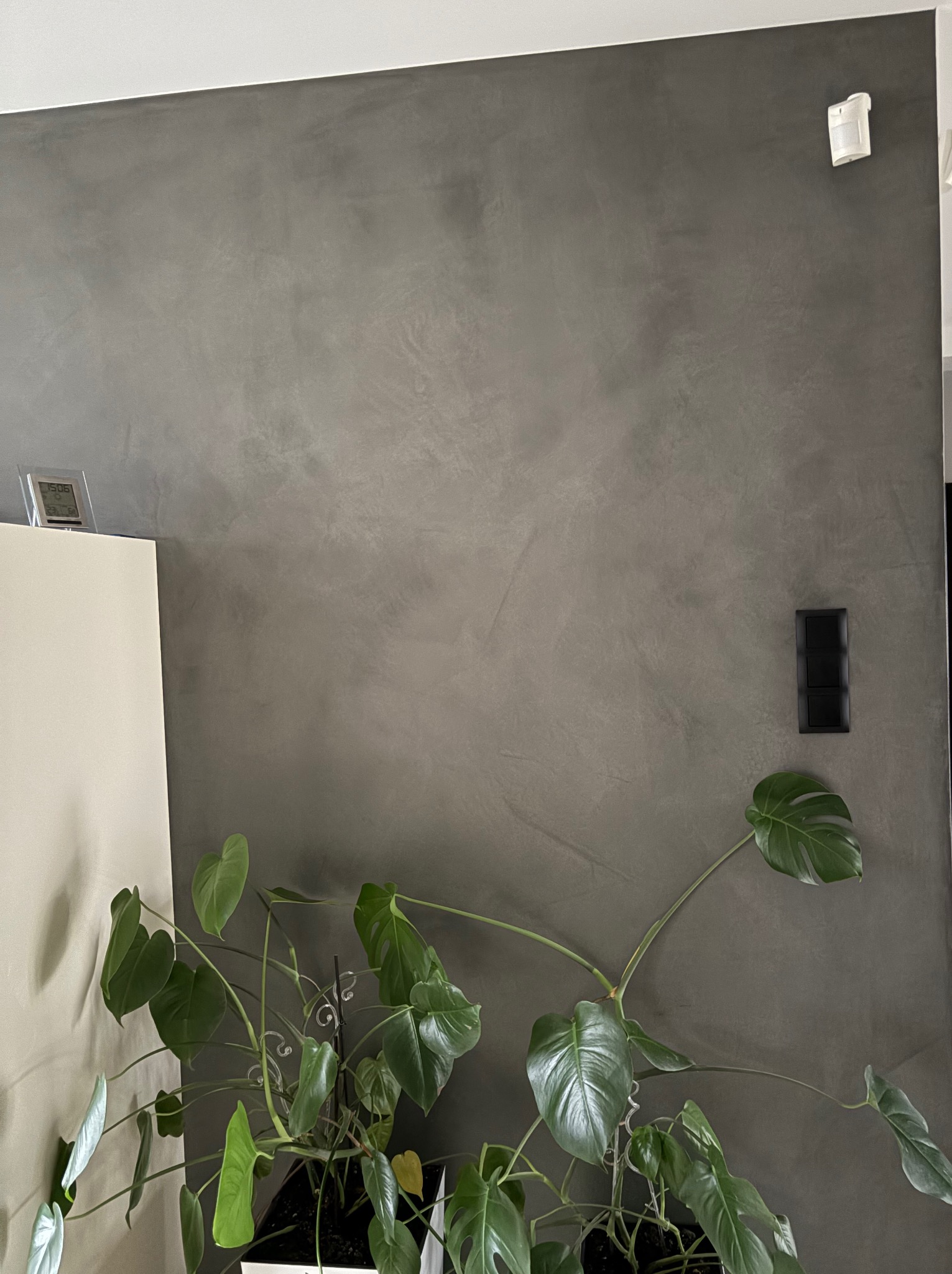 Ściana w odcieniach szarości z dekoracyjną fakturą, oświetlenie sufitowe i włącznik światła. W rogu widoczna roślina doniczkowa.